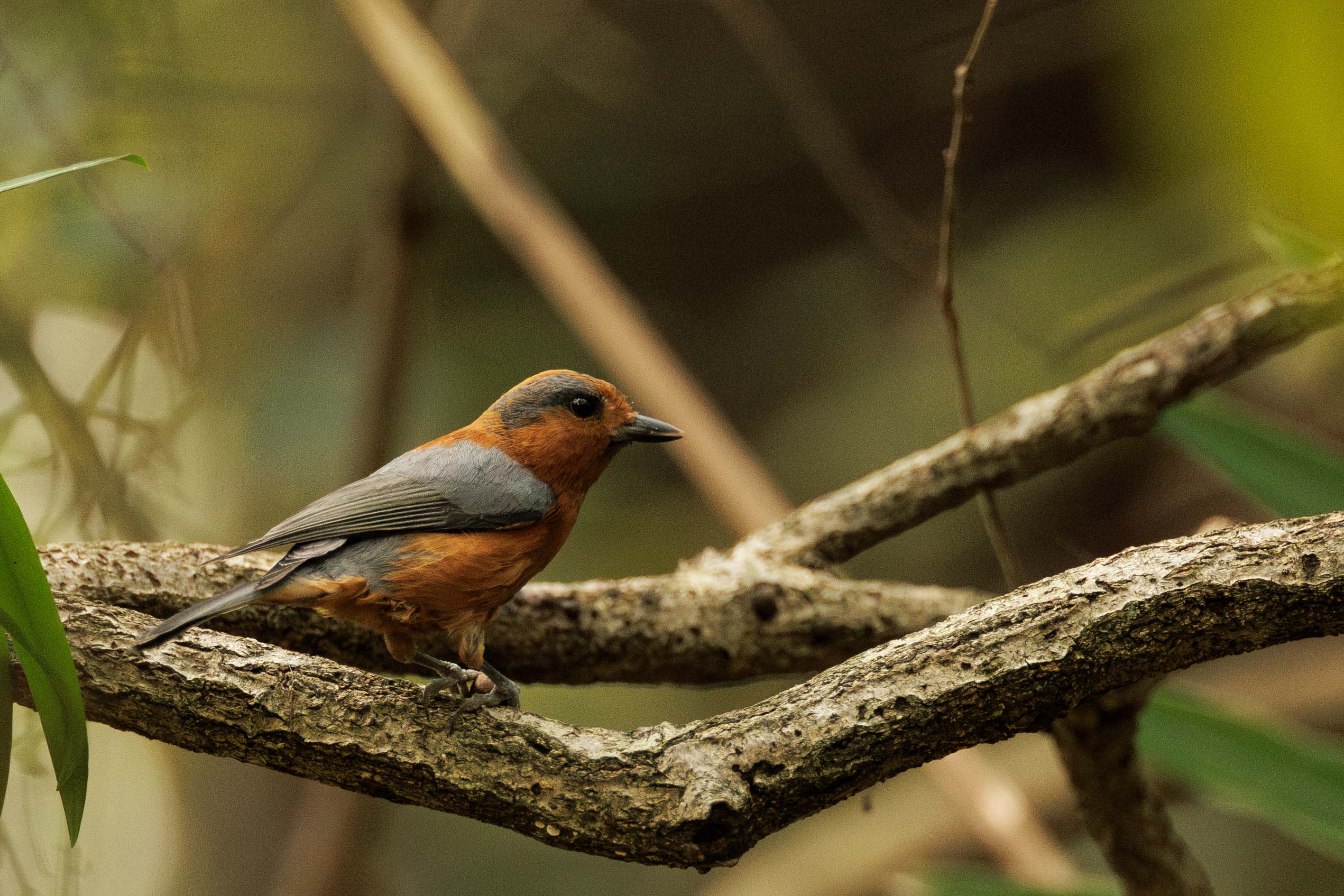 70c7aeccb943bcf8a42fc2ffcb9752