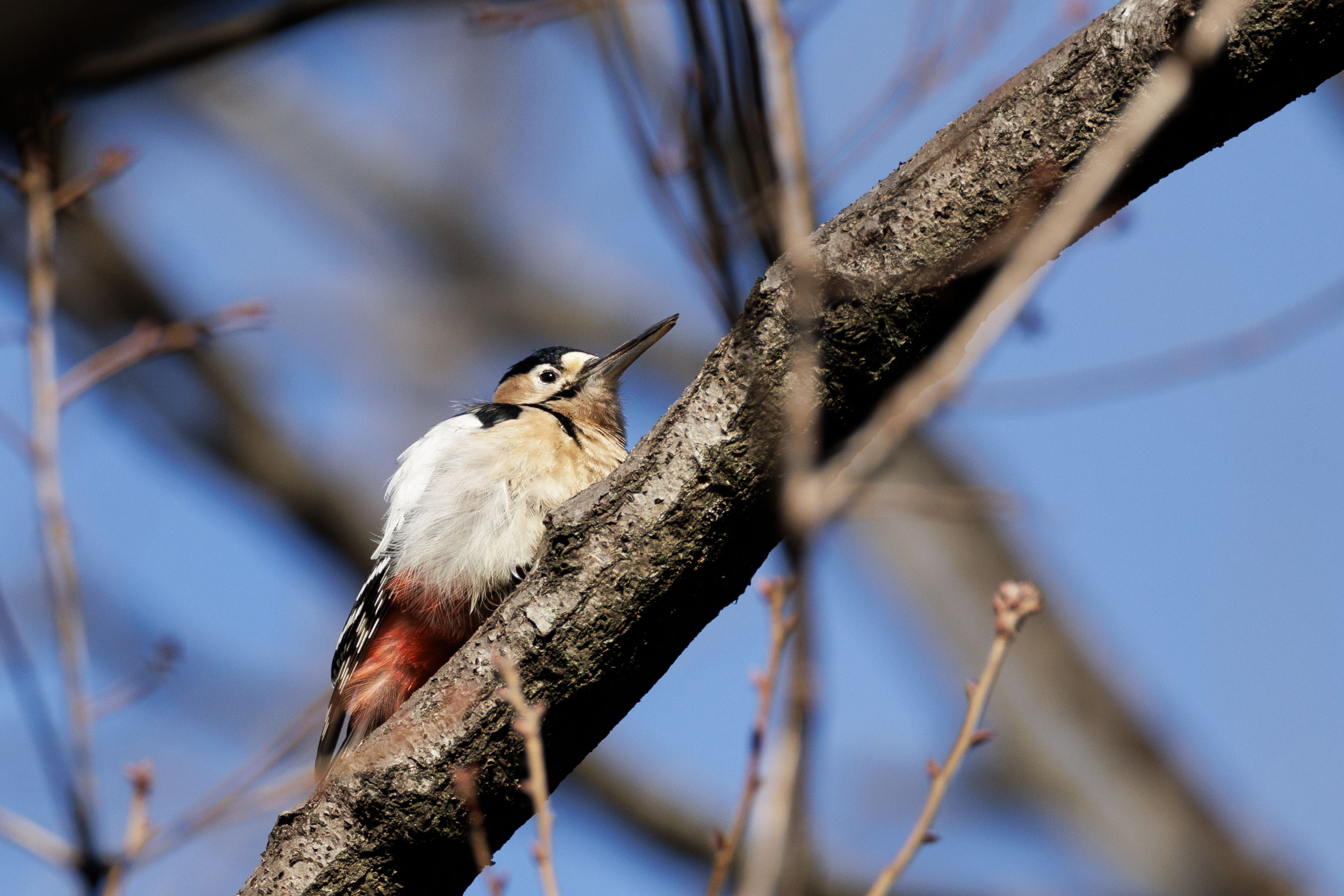 acc52f5cff2dbc0ac1a518dc20e8a1